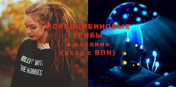 гидра Алексин