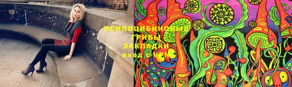 гидропоника Пересвет