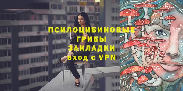 гидра Алексин