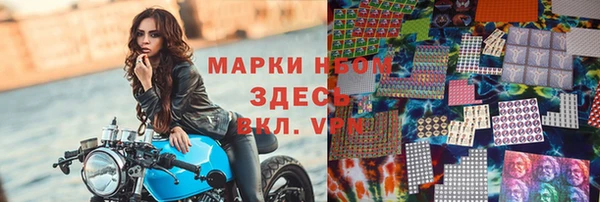 гидра Алексин